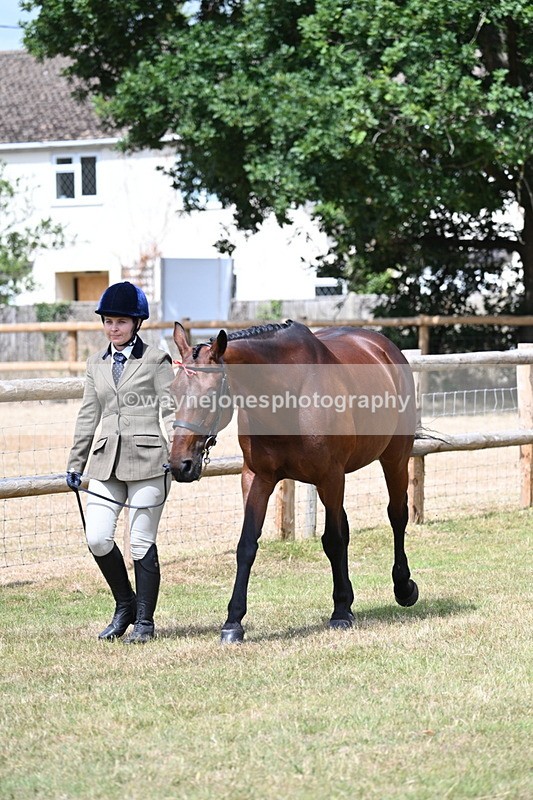 WJ7_1769 - Class 4a Prettiest Mare 14.2hh and over hand