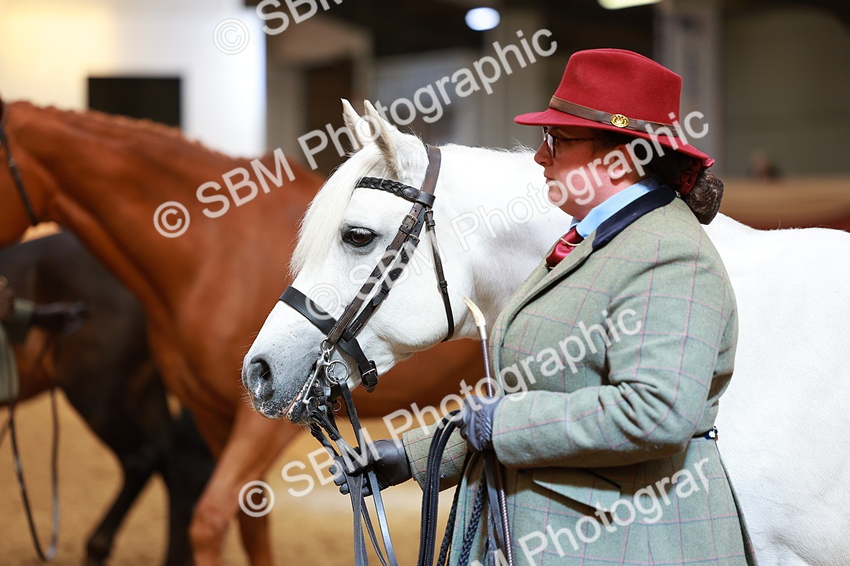 SBM_04148 - Class 9R - IH Pre-Vet