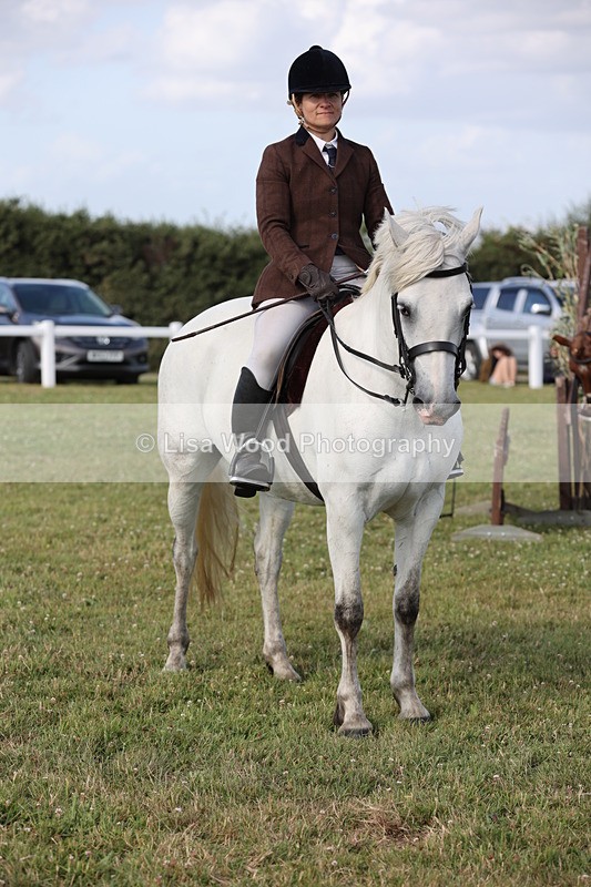 JPP_2981 - Class 20: Working Hunter 70cm