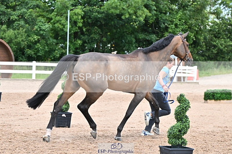 240718A-105323-01939 - Trot Up 2pm to 3pm - This folder is not in time order