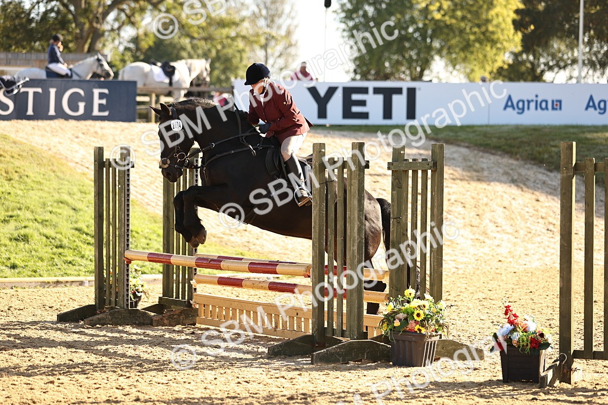 SBM_34782 - J38 - Senior 80cm Championship