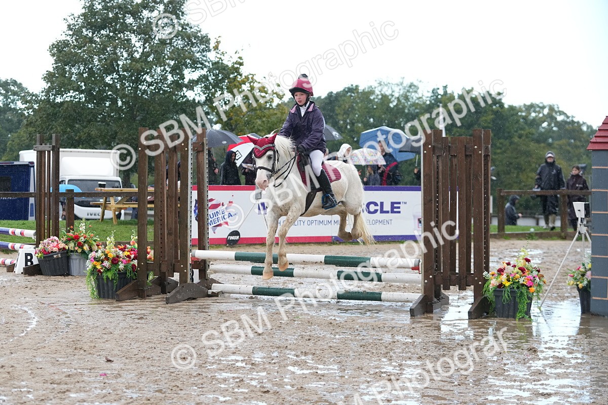 SBM_36317 - J5 - Junior Pony 50cm Championship