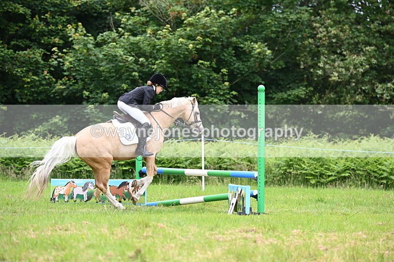 WJ6_5665 - Class 5 pairs 70cm
