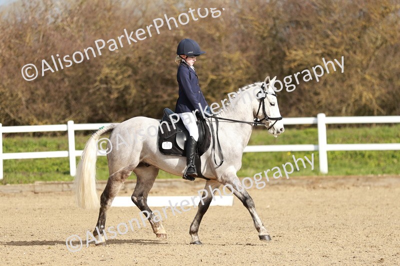 20260314-1050 - DR2 - Intro 3