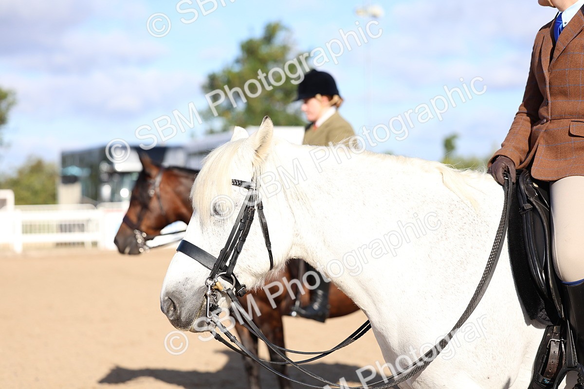 SBM_08888 - Class 302 - Ridden M&M - Large Breeds