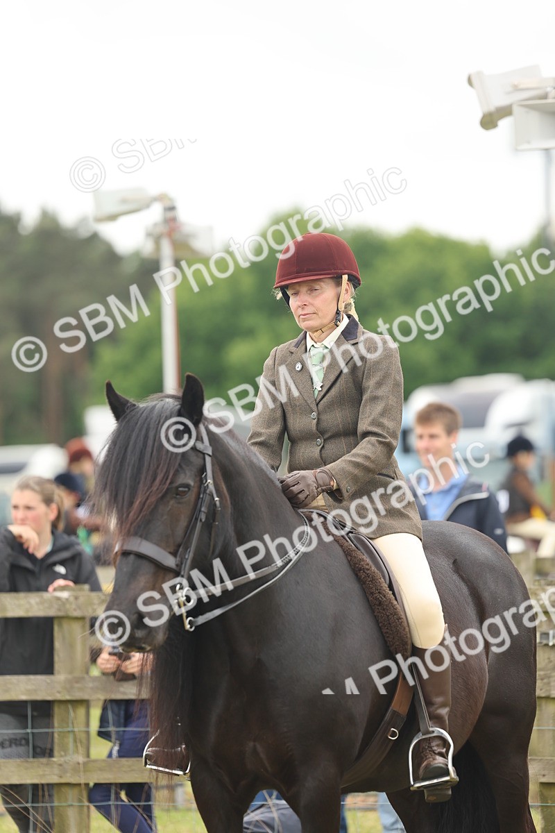 SBM_09003 - Class 78-80 - Ridden M&M Non Welsh Ponies