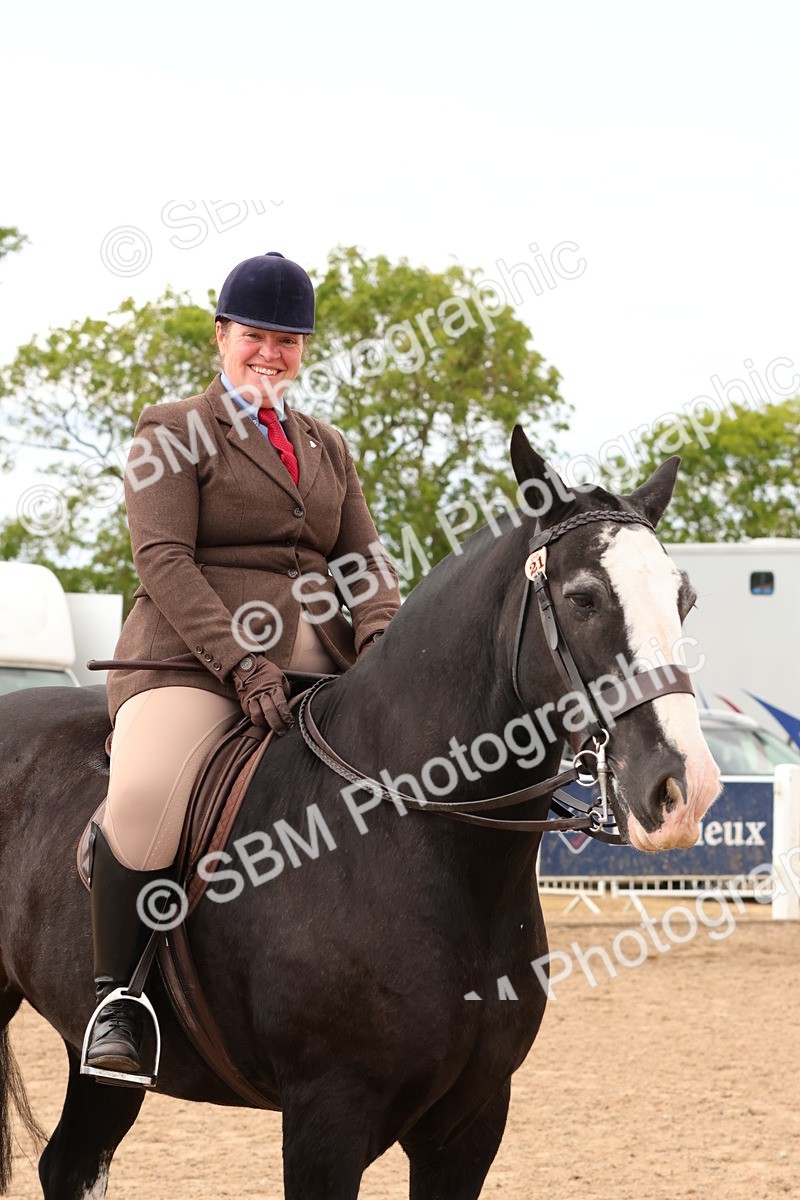 SBM_15542 - Class 214 - Ridden Show Cob