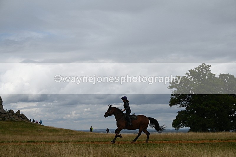 DSC_9163 - Time at Statue 14:33 to 15:10