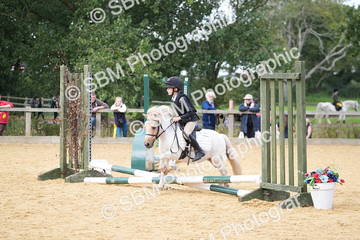 SBM_64578 - J2 - Mini Tour Junior Pony 30cm Championship