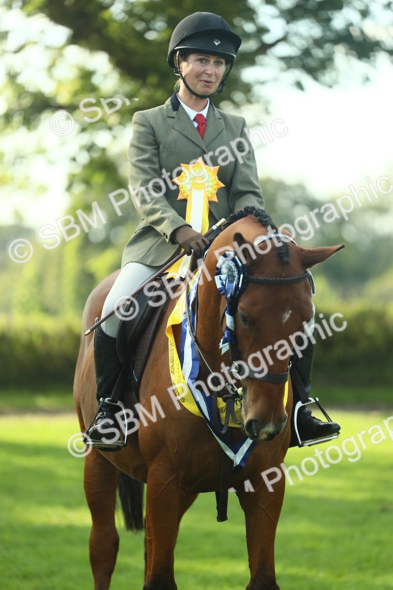 SBM_52315 - Working Hunter Supreme Championship