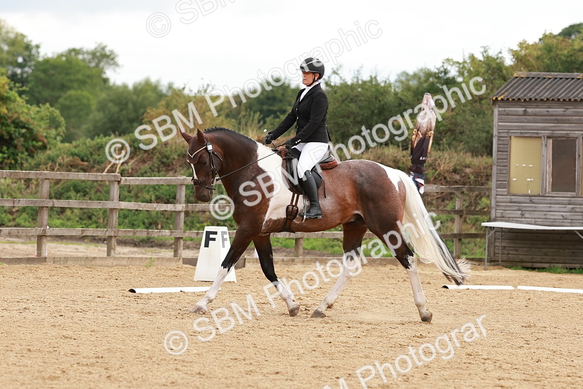SBM_002742 - Novice 2