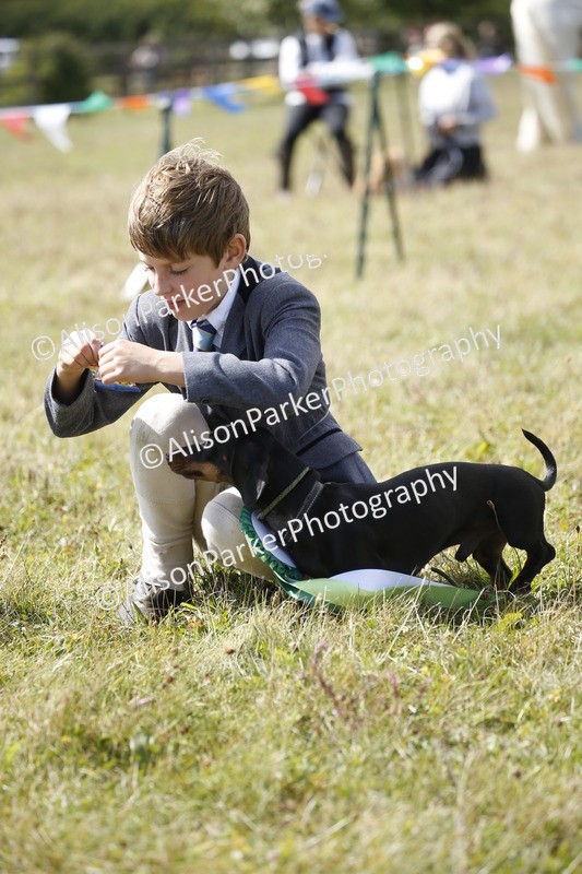 20250831-3812 - Dog Show