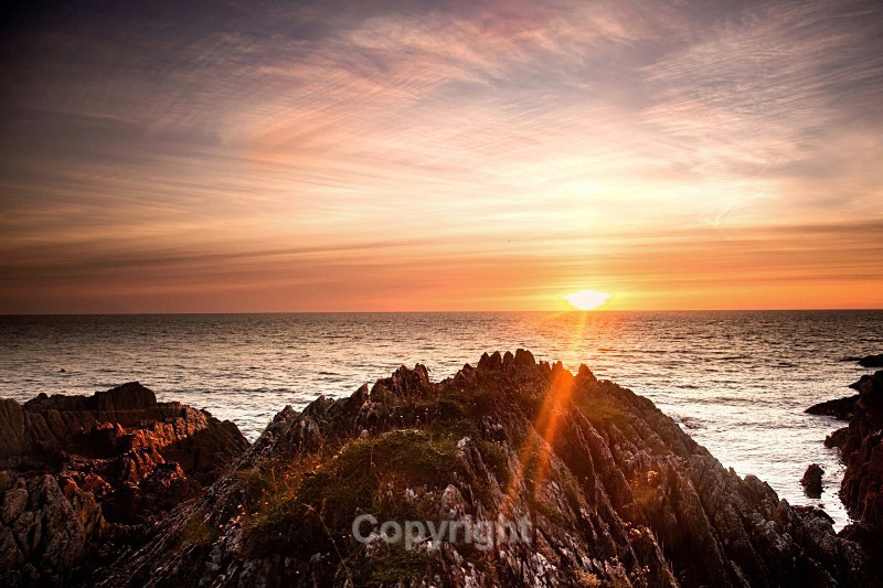 The Head Clogherhead - Pictures for sale