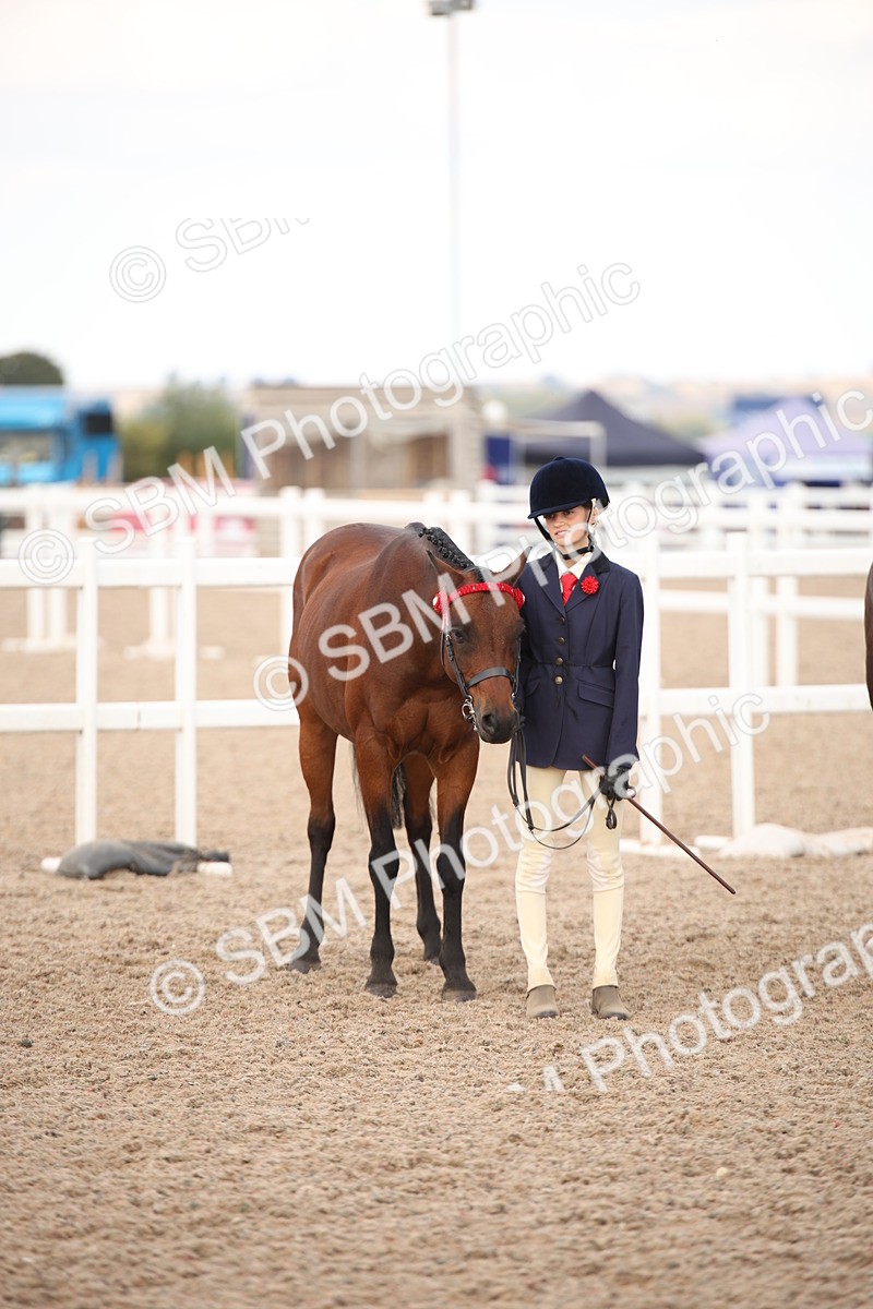 SBM_08256 - Class 27 - IH Competition Horse-Pony