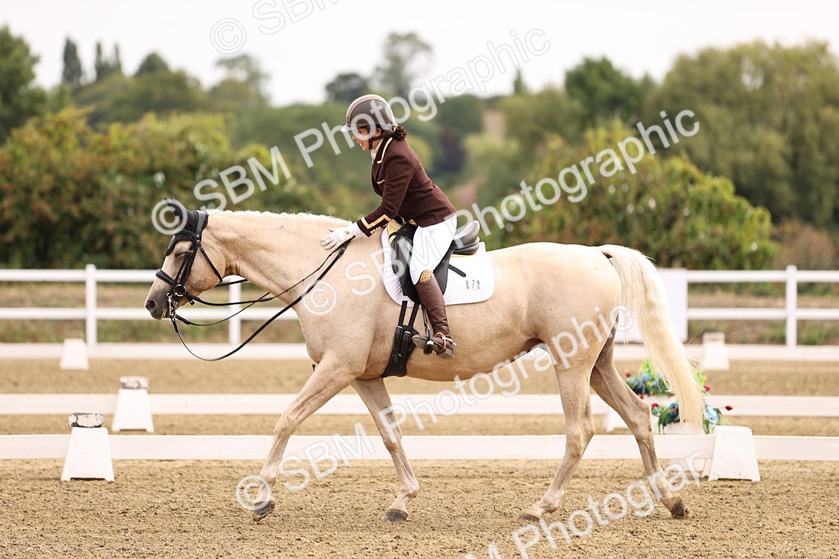 SBM_011520 - Class 1 - Medium 5