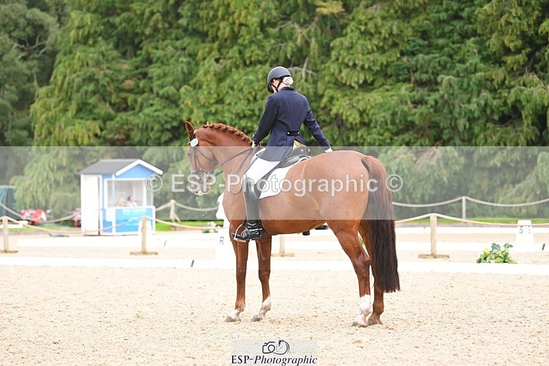 230813-135352-07633 - Cls 13 Medium Bronze 13.15 to End