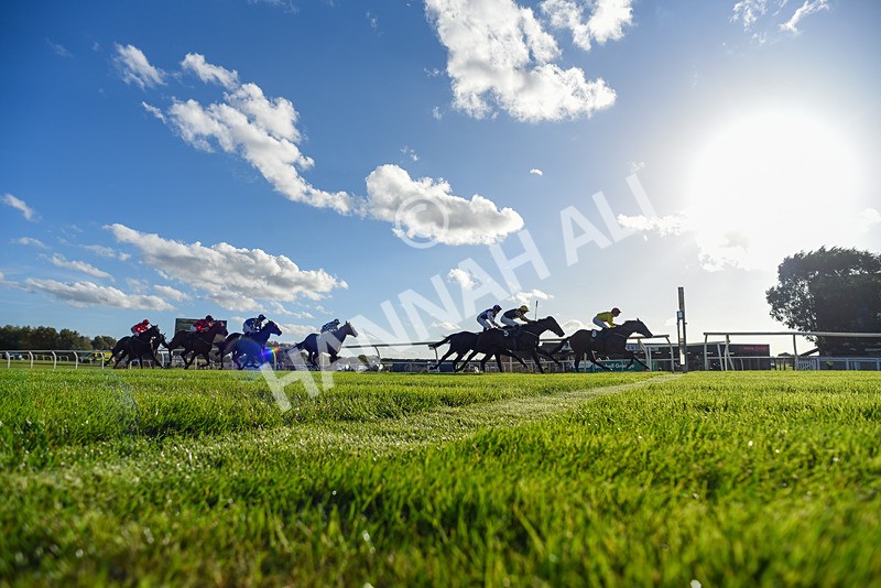 300926-Race 5-Vince Le Prince-8220 - Race 5 4.15pm Bet At racingtv.com Handicap (Div II)
