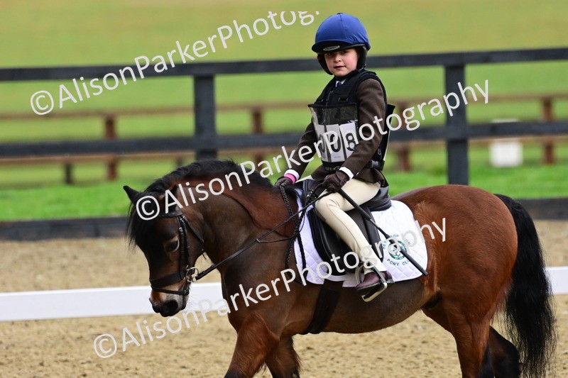 20260125-0513 - Class 9b - Walk Trot Unassisted