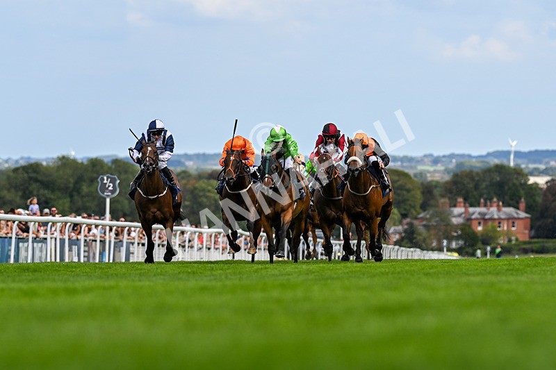 300826-Race 2-Jm Jungle-9515 - Race 2 2.15pm William Hill Beverley Bullet Sprint Stakes