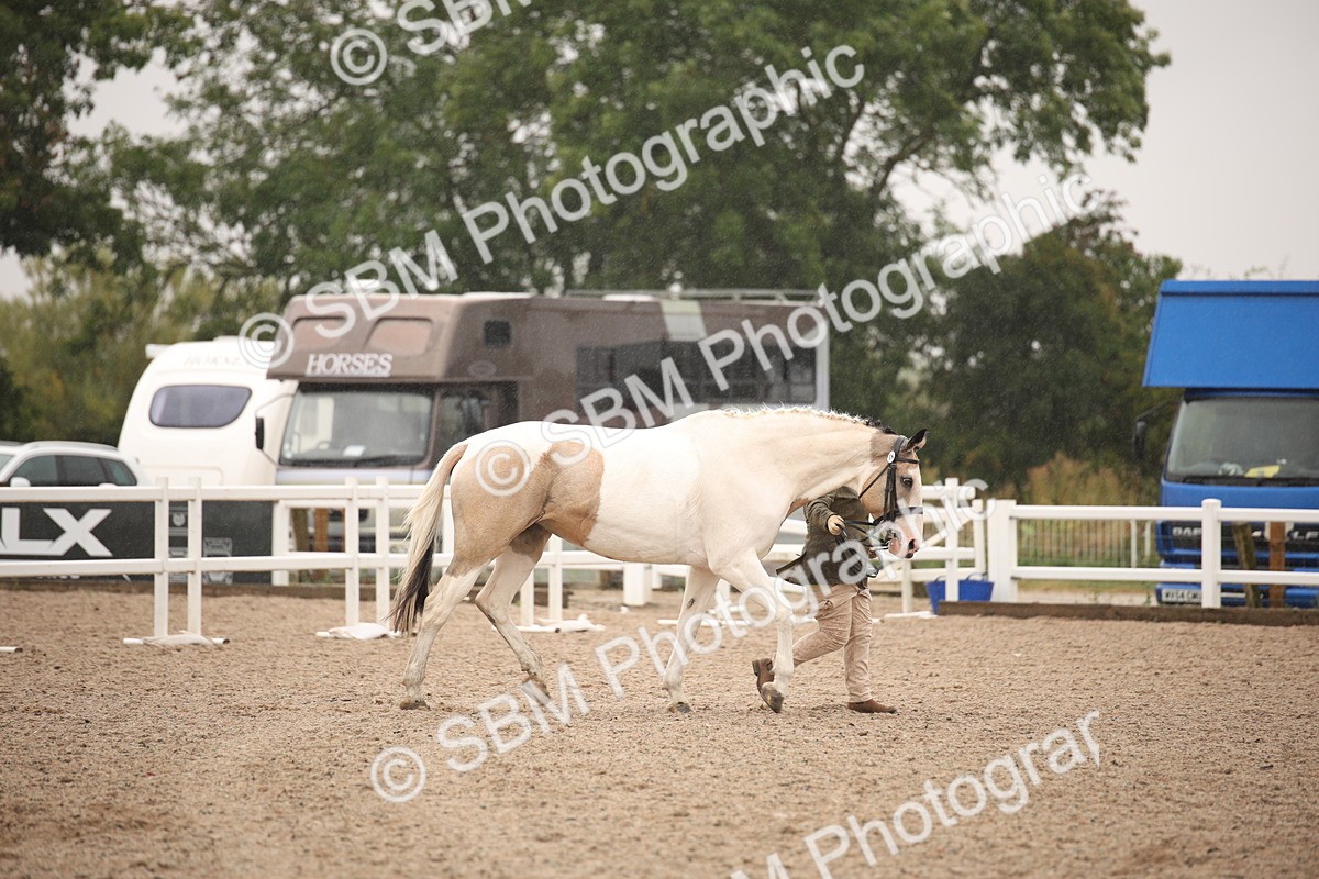 SBM_20675 - Class 705 - IH  Combination 65+