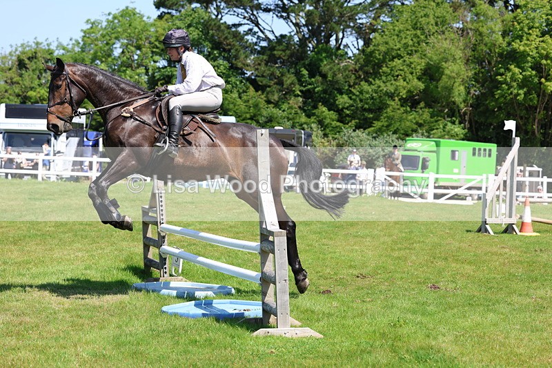 3E7A7056 - Class 30: Novice Working Hunter