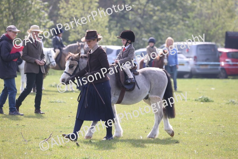 20260426-0378 - Class 30 - Tiny Tots Lead Rein
