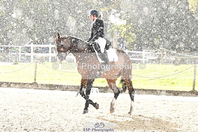 251023A-150427-05659 - B-160-Phoebe.Woods