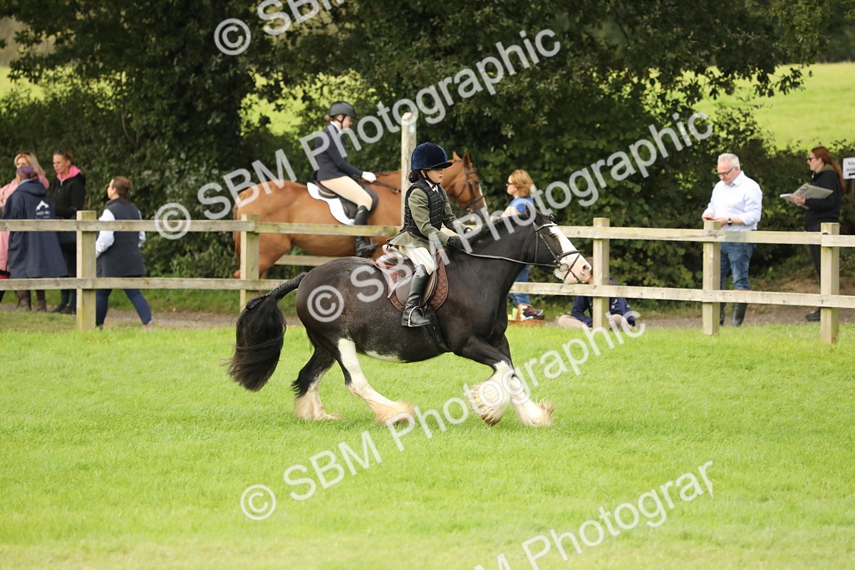 SBM_71691 - S41 - Ridden Equitation (Best Rider)