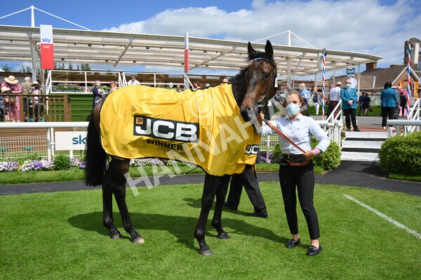 yr12062021r2-43 - Race 2 2.35pm The JCB Stakes