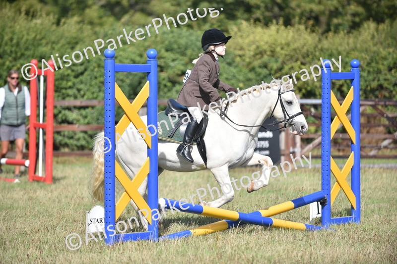 20260906-0954 - Class 7 - Absolute Novice Jumping 35cm