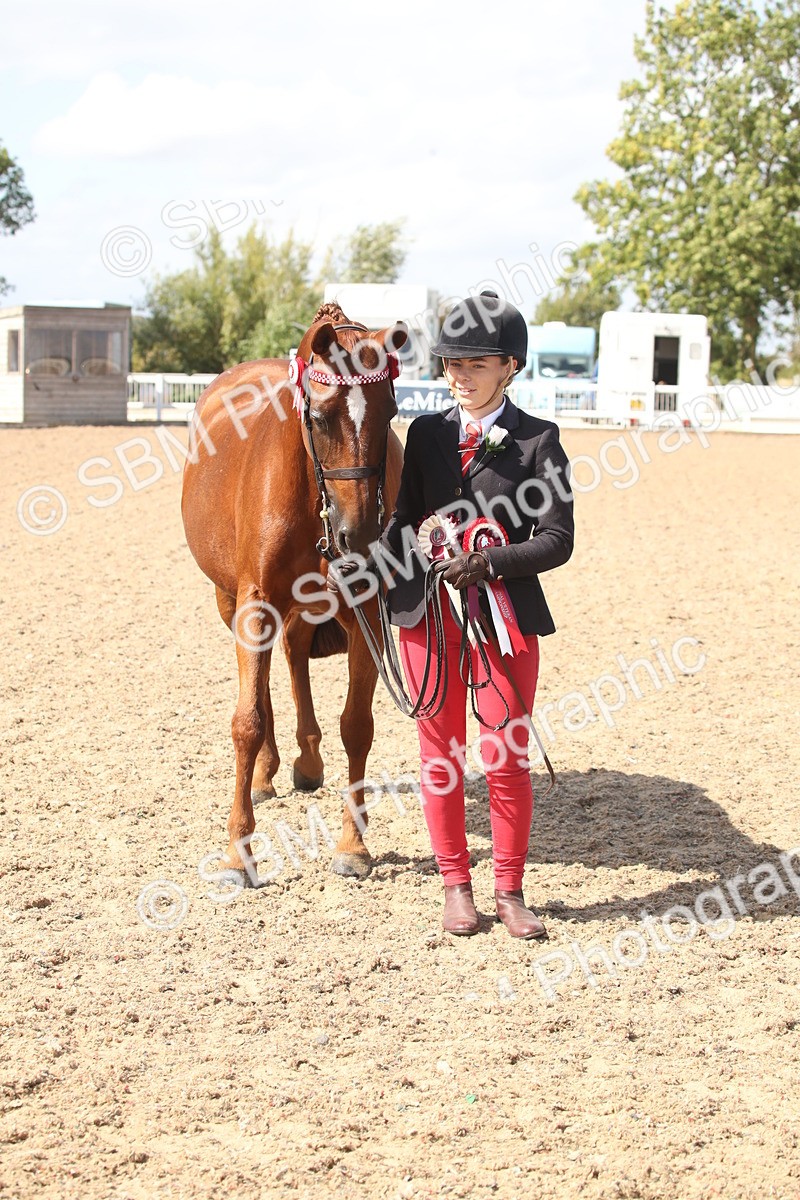 SBM_23155 - Class 606 - 2026 - Area - IH Pre Vet