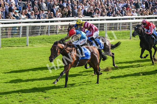 111025-Race 1-Division-8232 - Race 1 Coral Rockingham Stakes at York