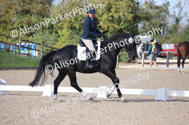 20261010-0603 - Class 5 - Novice 1