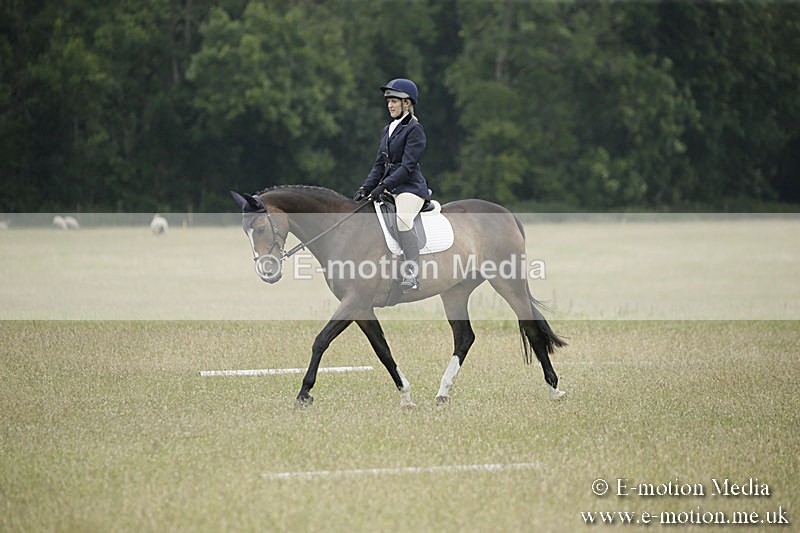 B230619-0885 - Bourne Valley Riding Club Summer Show 23/06/19