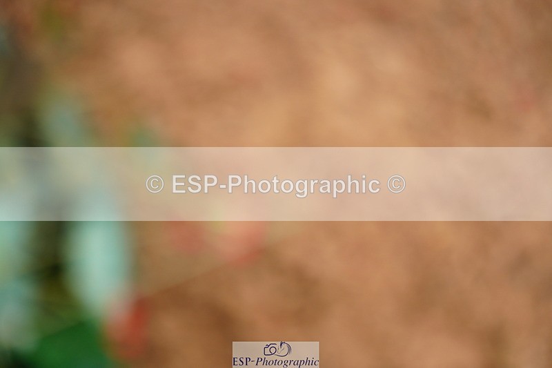 240524A-093656-02527 - Cls 13 Snr 1.05m and 1.10m