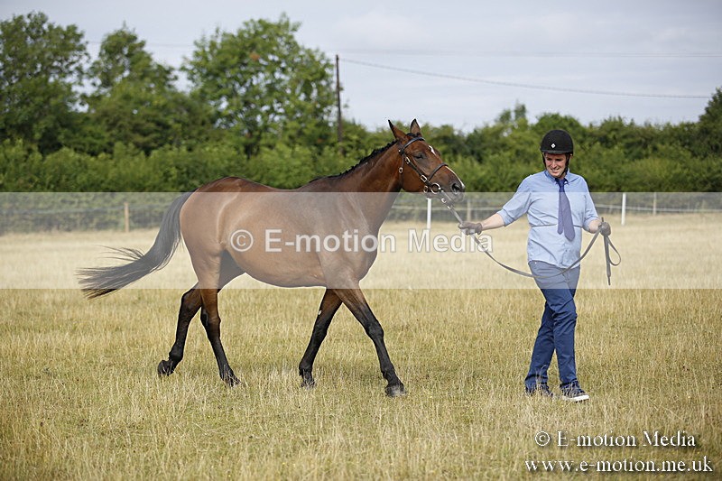 _C7A9134 - BVRC Sow 2018 Ring 2