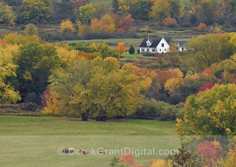 Westfield New Brunswick Canada Autumn Foliage - New Brunswick Landscape