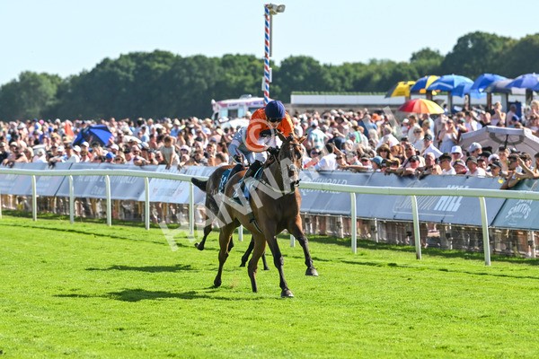 120725-Race 6-Terrorise-6087 - Race 6 4.45pm John Smith's Stayers' Handicap