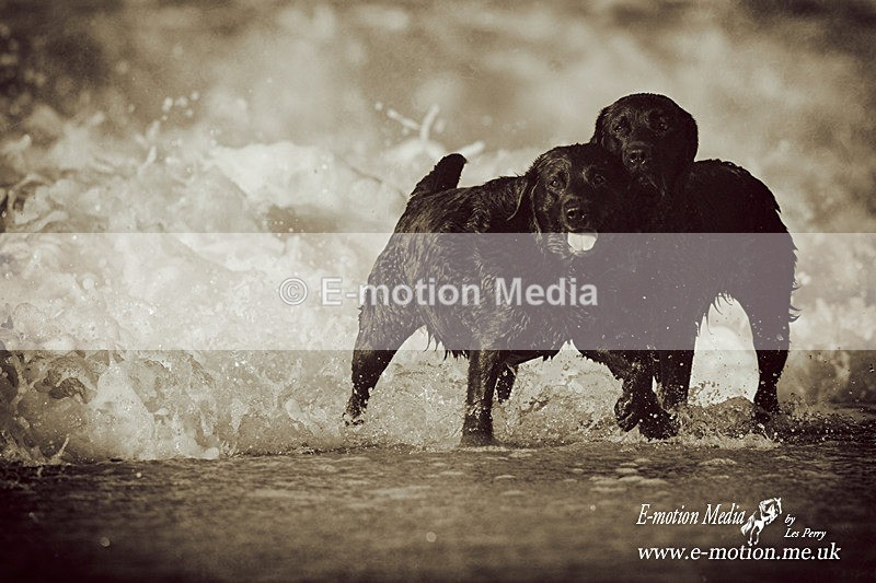 SU 080509 44bw - B & W photography