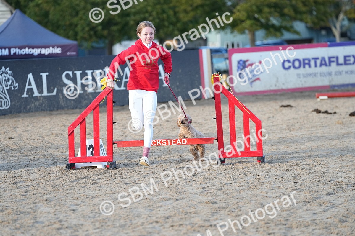 SBM_29479 - J44 - Horse & Hound Open 70cm