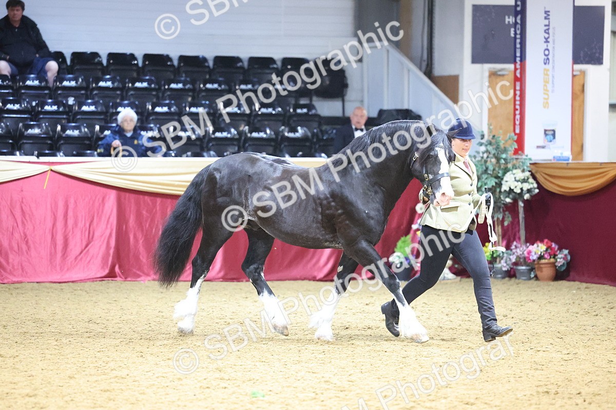 SBM_20981 - Class 902 - Supreme Final IH Veteran