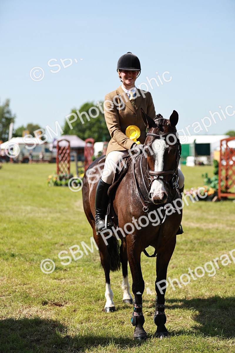SBM_18470 - Class 112-113 - BSPS LIHS Working Sports Pony