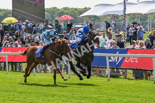 140525-Race 1-Almoshher-1582 - Race 1 2.10pm Sky Bet Race To The Ebor Jorvik Handicap