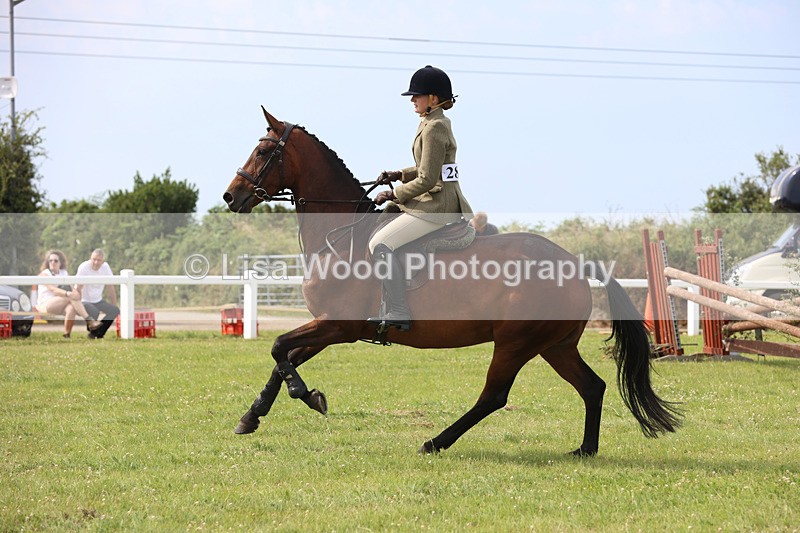JPP_4071 - Class 24: Working Hunter 90cm