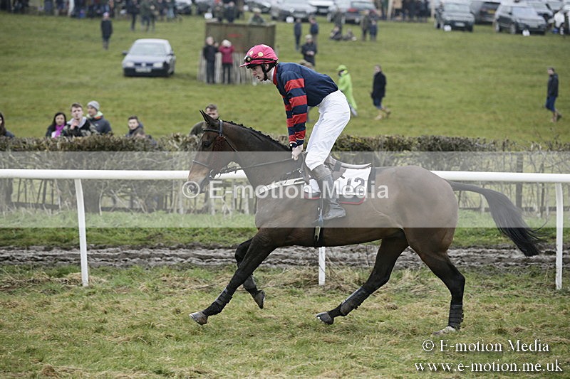 PtP 020418 -93 - Old Berks Point-to-Point Races Easter Monday 02/04/18
