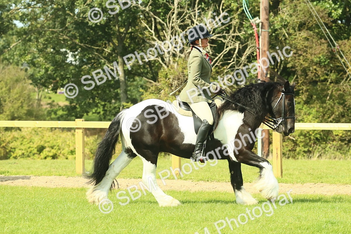 SBM_67461 - S56 - Coloured Pony Ridden