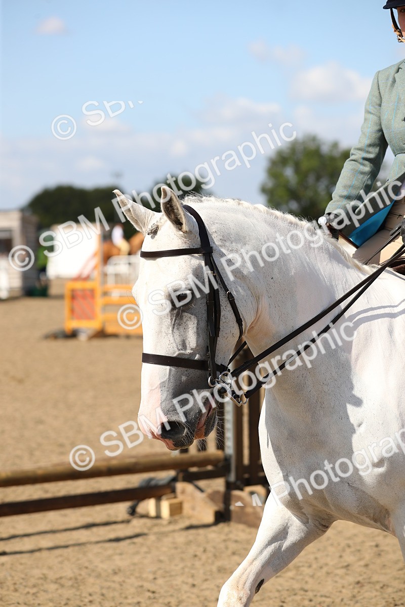 SBM_03261 - Class 44 Riding Club Horse/ Pony