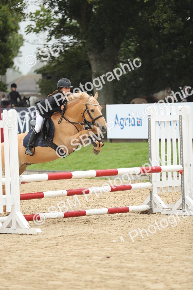 SBM_73699 - J16 - Junior Pony 75cm Championship