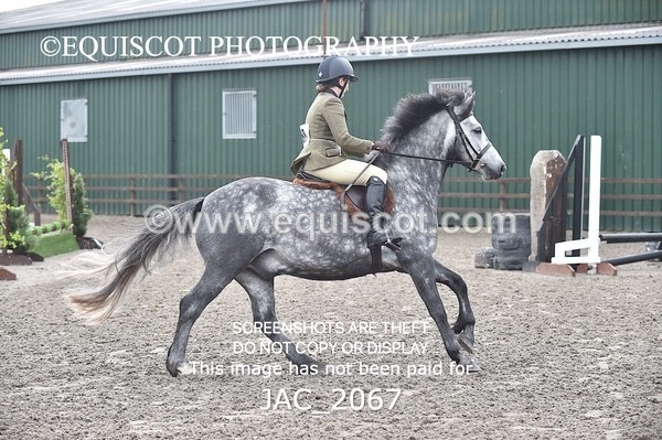 JAC_2067 - CLASS 1 Nursery Novice Working Hunter