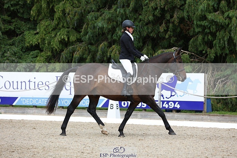 230812-153202-05158 - Cls 5 Novice Bronze 15.00 to End